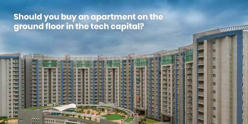 Should you buy an apartment on the ground floor in the tech capital?